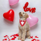 ADOGGYGO Valentine Dog Tuxedo Bandana, Red Heart Pet Tux with Bowtie Adjustable Valentine Costume for Extra Small Dogs Cats (XS)