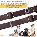 ADITYNA Leather Dog Collar with Metal Buckle - Heavy-Duty, Adjustable for Medium & Large Dogs - Walking, Training, Hiking (Brown, Fits 15-21" Necks)