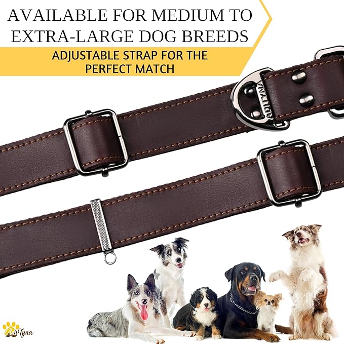 ADITYNA Leather Dog Collar with Metal Buckle - Heavy-Duty, Adjustable for Medium & Large Dogs - Walking, Training, Hiking (Brown, Fits 15-21" Necks)