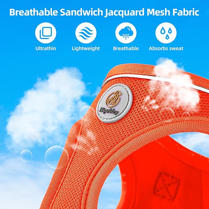 Hipubby Dog Harness and Leash Set, No Pull Soft Mesh Puppy Harness for Small Medium Dogs, Cats - Step in Reflective Breathable Lightweight Vest Harness for Walking, Training - Orange, XXS