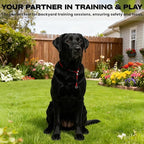 Heavy Duty Steel Wire Dog Training Collar - PVC Coated Martingale Slip Collar with Adjustable Safety Stopper for No-Pull Walking & Obedience Red 0.197" D/23.62" L