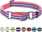 Blueberry Pet 4 Colors 3M Reflective Multi-Colored Stripe Martingale Safety Training Dog Collar, Pink Emerald and Orchid, Small, Heavy Duty Adjustable Collars for Dogs