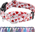 Valentines Reflective Martingale Collar for Dogs with Quick Release Buckle Cute Girl No Pull Dog Collars (Red Heart, Small)