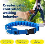 PetSafe Soft Point Training Collar - Comfortable No-Pull Adjustable Quick-Release Collar with Removable Soft Rubber Points - Pain-Free Training for Better Leash Manners - Large - Blue