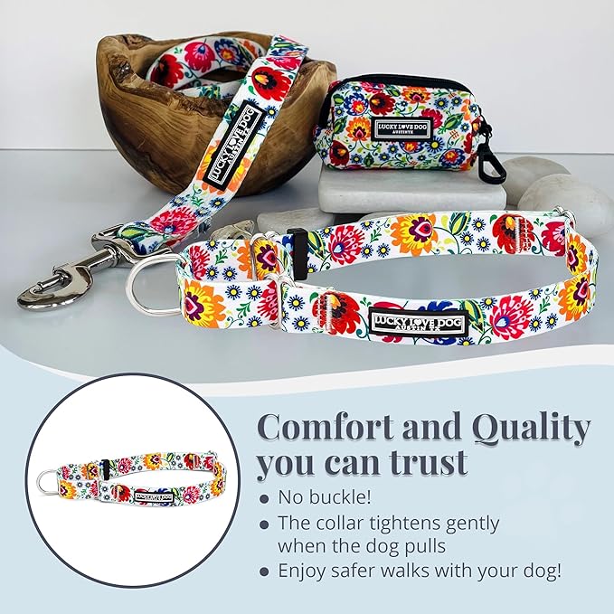 Lucky Love Dog Martingale Dog Collar - Adjustable, No-Slip, Durable, & Soft Webbing Collar for Male and Female Dogs Ideal for Training & Walking - Ladybird, Medium