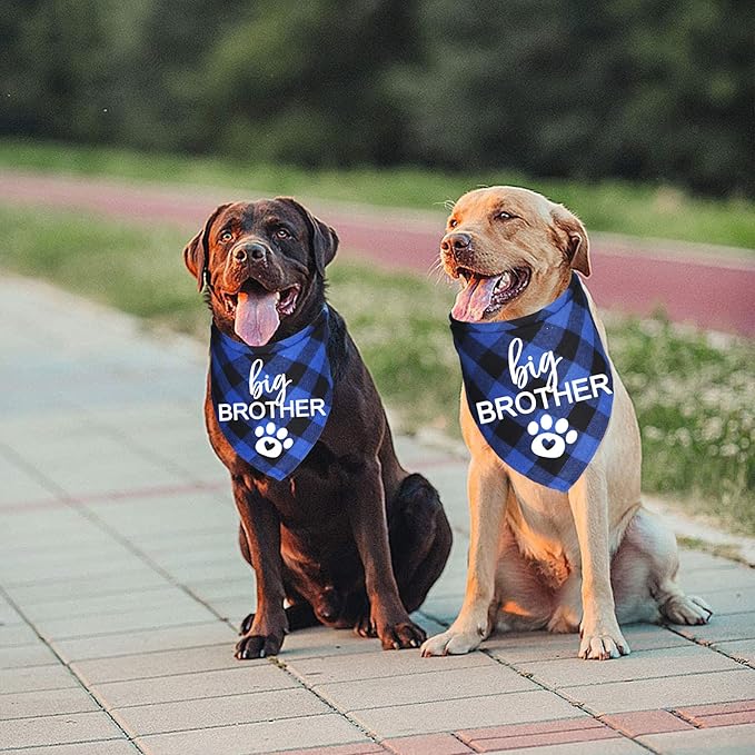 Big Brother Dog Bandana, Plaid Pregnancy Announcement Dog Bandanas for Dogs (Blue, Big Brother)