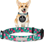 Lucky Love Dog - Adjustable Dog Collar with Easy Click Buckle for Small Dogs, Durable, & Comfortable for Male & Female Dogs, Pet Collar for Puppies & Adult Ones - Penny, Small