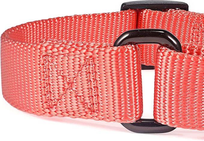 Premium Nylon Adjustable Anti-Escape Martingale Dog Collars,Durable,Comfort and Silky Dog Collar with Hardware D-Ring for Large Dogs Walking,Training,etc...(Living Coral, Large)