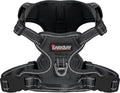 BARKBAY Dog Harness No Pull Mesh for Large Dogs - Adjustable, Reflective, Comfortable, No Choke, Heavy-Duty - Perfect for Outdoor Training, Walking, and Hiking - Strong & Durable - L & Black Mesh