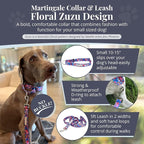 Lucky Love Dog Martingale Dog Collar & Leash - Adjustable, No-Slip, Durable, Comfortable, Soft Webbing, & Stylish Patterned Collar & Leash Set for Male and Female Dogs - Zuzu Combo, Small