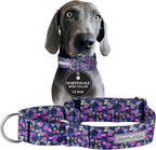 Lucky Love Dog Wide Martingale Dog Collar - No-Slip, Durable, & Soft Webbing 1.5 inch Martingale Collar for Dogs Male and Female Ideal for Training & Walking - Primrose, X-Large