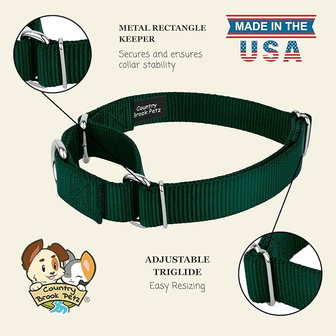 Country Brook Petz - Martingale Dog Collar - Heavy-Duty Training Collar with No Buckle - Service Dog Collar for All Pups - 10+ Cool Colors (Green, 1 Inch, Large)