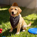 choyaxo Dog Cowboy Hat Dog Cowboy Costume for Small Pet Dogs Cat Cowboy Hat with Bandana Scarf Set Party Accessories (Brown, Large)