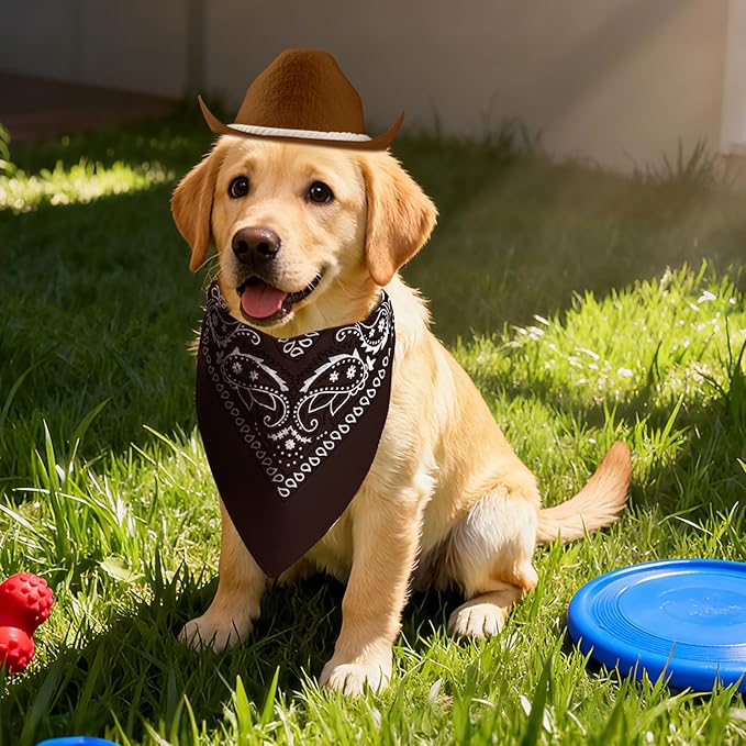 choyaxo Dog Cowboy Hat Dog Cowboy Costume for Small Pet Dogs Cat Cowboy Hat with Bandana Scarf Set Party Accessories (Brown, Medium)