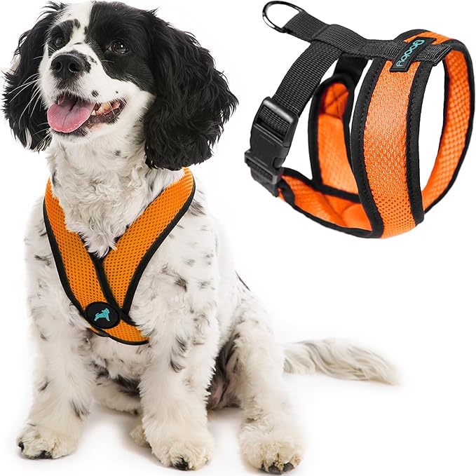 Gooby Comfort X Head in Harness - Orange, Medium - No Pull Small Dog Harness Patented Choke-Free X Frame - On The Go Dog Harness for Medium Dogs No Pull or Small Dogs for Indoor and Outdoor Use