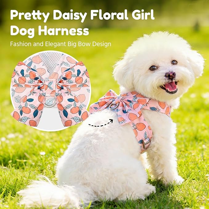 BAEJMJK Dog Harness and Leash Set with Bow Knot No Pull Pet Floral Harness with D-Ring Soft Mesh Dog Harness Vest Set Escape Proof Princess Puppy Harness for Small Girl Dogs Cats（Orange S）