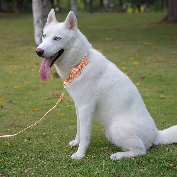 Tunkoo Dog Collar with Bow Tie Elegant Plaid Soft Comfy Cotton Adjustable Collar Premium Metal Buckle,Small Medium Large Puppy Cat Outdoor Training Walking Running（Orange Grid，S）