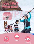 No Shock Dog Training Collar 2 Dogs, Vibrating Dog Collar, Vibration Collar for Small Medium Large Dogs - No Shock No Prongs