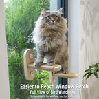 PETKARAY Cat Window Shelf, Original Cat Window Perch Stairs, Durable Kitty Seat for Window Sill, Sturdy Window Step for Indoor Cats