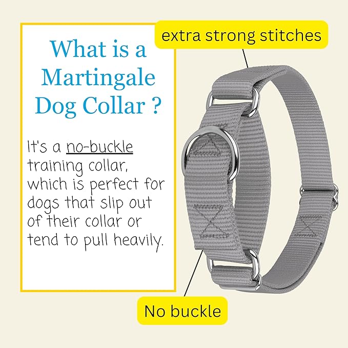 Country Brook Petz - Martingale Dog Collar - Heavy-Duty Training Collar with No Buckle - Service Dog Collar for All Pups - 10+ Cool Colors (Silver, 3/8 Inch, 3XS)