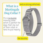 Country Brook Petz - Martingale Dog Collar - Heavy-Duty Training Collar with No Buckle - Service Dog Collar for All Pups - 10+ Cool Colors (Silver, 3/8 Inch, 3XS)