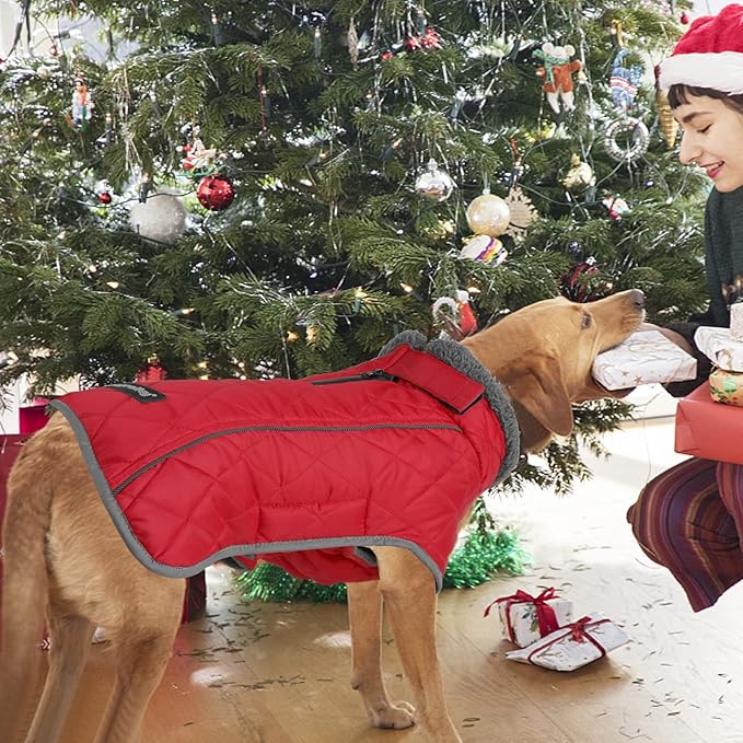 Fragralley Dog Coat Large, Waterproof Dog Jacket with Warm Fleece Lining, Adjustable Reflective Dogs Winter Coat, Turtleneck Pet Coats for Cold Weather (Red XL)