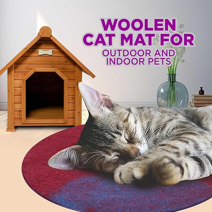 Cat Bed Mat Natural Merino Wool Cozy Large Carpet Pad for Pet Cats Kitty Small Dog House Warm Organic Sheep Wool Scratch Floor Mats Rug Bedding (Aqua Red, Large)