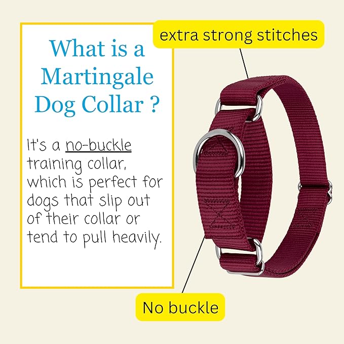 Country Brook Petz - Martingale Dog Collar - Heavy-Duty Training Collar with No Buckle - Service Dog Collar for All Pups - 10+ Warm Colors (Burgundy, 1 Inch, Medium)