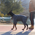 Warm Drakgray Dog Coat, Windproof Fleece Jacket for Small to XXXXL Dogs, Zippered Closure, Outdoor Winter Coat