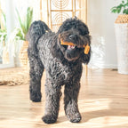 SPOT Bam-Bones Plus T Bone - Bamboo Fiber & Nylon, Durable Long Lasting Dog Chew for Aggressive Chewers – Toy for Dogs & Puppies Under 90lbs, Non-Splintering, 7in, Allergen Free Peanut Butter Flavor
