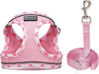 Mercano Soft Mesh Dog Harness and Leash Set, No-Chock Step-in Reflective Breathable Lightweight Easy Walk Vest Harnesses with Safety Buckle for Small Dogs, Cats (Pink, XXS)