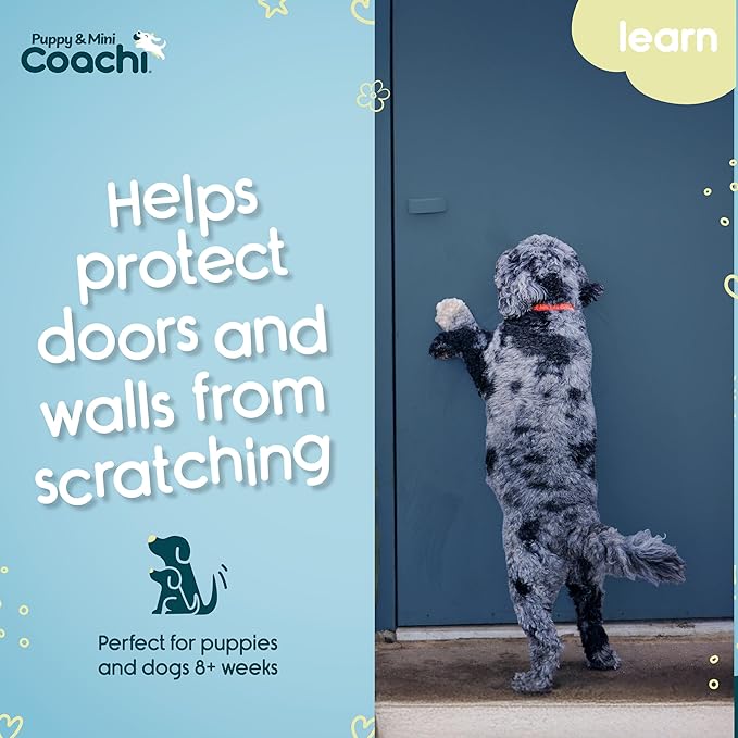 Coachi Puppy & Mini Toilet Training Bells - Suitable for Puppy or Newly Acquired Dogs, House Training, Stop Door Scratching, Easy to Use, Adjustable Height. Dog Accessory, Great for Clicker Training