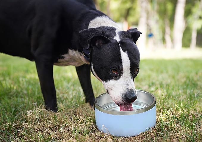 Alpine Set of 2 Stainless Steel Dog Bowls, Non Slip, Metal Pet Bowl for Food and Water, Double Walled Insulated, Rustproof, Dishwasher Safe- 32 Ounces - Black/White (AB)