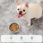 vancasso Slow Feeder Dog Bowl, 0.6 Cups Ceramic Dog Food Dish for Fast Eaters Small Breed, Puzzle Bowl for Small Dogs and Cats, Grayish Cyan