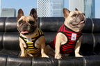 iChoue Pug 100% Breathable Cotton Striped T Shirts Halloween Vest Clothes for Medium Dogs Tank Tops Puppy French Bulldog Frenchie English Boston Terrier Pitbull Red Blue Stripes - Small