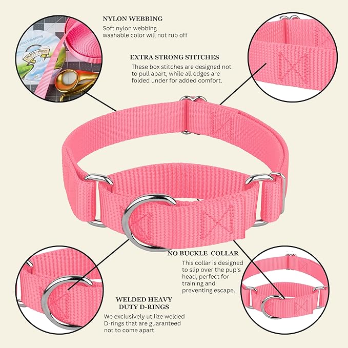 Country Brook Petz - Martingale Dog Collar - Heavy-Duty Training Collar with No Buckle - Service Dog Collar for All Pups - 10+ Warm Colors (Pink, 1 Inch, Medium)
