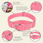 Country Brook Petz - Martingale Dog Collar - Heavy-Duty Training Collar with No Buckle - Service Dog Collar for All Pups - 10+ Warm Colors (Pink, 3/8 Inch, 2XS)