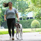 Pro No-Pull Dog Training Collar for Happier Walks, Rechargeable and Waterproof, Hands Free Device with No Remote Needed, Anti-Slip, and Safe-to-use for Medium and Large Breed Dogs (Medium)