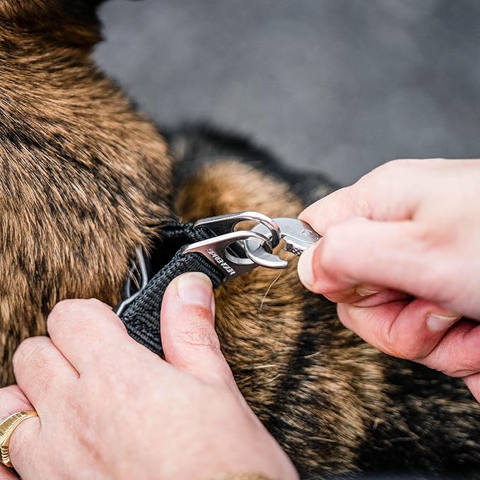 Herm. Sprenger Ultra-Plus Dog Training Prong Collar ClipOn Buckle German Made Stainless Steel (3.2 mm x 20" Neck Size; 17" Chain Length)