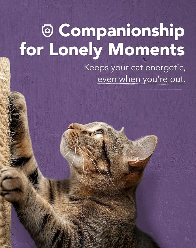 Lukamoo® Cat Scratching Pad, Wall Mounted Scratcher for Indoor Cats (Medium (24'' x 16'')) (Black Cat)