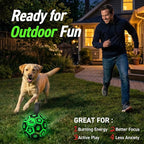 QDAN Glow in The Dark Dog Toys Soccer Ball with Straps, Outdoor Interactive Dog Toys Puppy Birthday Gifts, Dog Tug Water Toy, Light Up Dog Balls for Small & Medium Dogs（6 Inch Size 2）