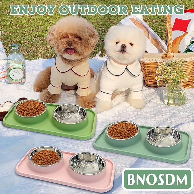 BNOSDM Double Dog Food Bowls Stainless Steel Dog Food and Water Bowls with Non-Spill Plastic Mat Pet Cat Feeder Bowl Set for Puppy Cats Kitten Small Dogs, Dark Green