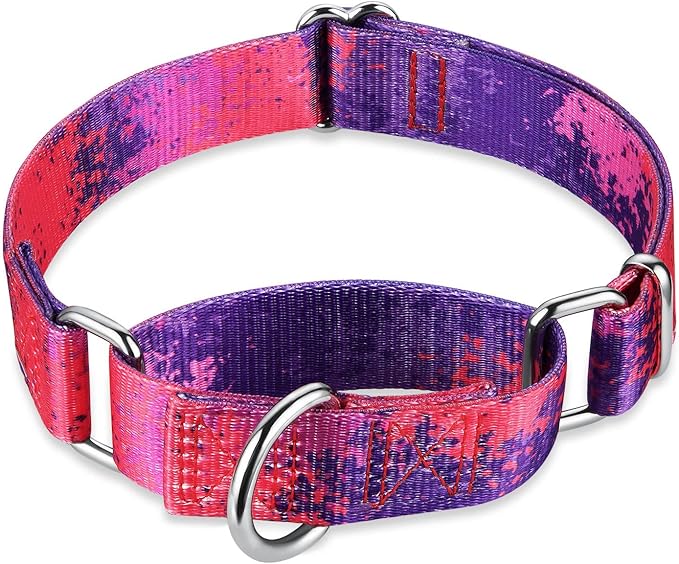 Martingale Dog Collar Escape-Proof for Training - No-Buckle, Durable Polyester Design for Medium Breeds (Purple Secret,M)