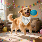 Realeaf Lets Pawty Dog Bandana,Wedding Birthday Party Outfit for Boy and Girl, Premium Durable Fabric, Engagement Announcement for Large and XLarge Dogs (Large)