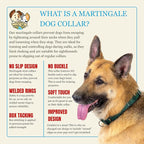 Country Brook Petz - Martingale Dog Collar - Heavy-Duty Training Collar with No Buckle - Service Dog Collar for All Pups - 10+ Warm Colors (Almond, 3/4 Inch, Small)