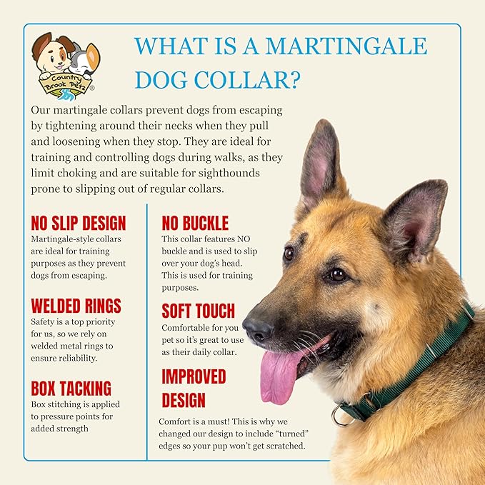 Country Brook Petz - Martingale Dog Collar - Heavy-Duty Training Collar with No Buckle - Service Dog Collar for All Pups - 10+ Warm Colors (Almond, 3/4 Inch, Small)