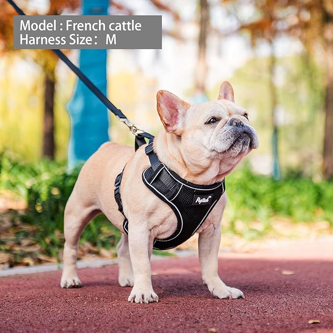 PUPTECK Small Dog Harness and Leash Set, No Pull Adjustable Puppy Cat Harness, Reflective Soft Mesh Pet Vest Small Sized, Black, S