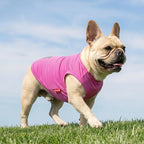 KYEESE 2Pack Dog Shirt, Lightweight Sun Protection Dog T Shirts for Small Medium Dogs Girl, Breathable Mesh Tank Top Sleeveless Pet Reflective Vest, Soft Summer Dogs Clothes, Ice Pop+Pink, XL