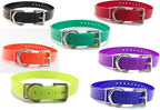 Replacement Strap for Dogtra Collars - 3/4" Wide Ultra-Durable Dog E-Collar Replacement for Training, Bark, Shock, Electric, and GPS Collars - 28" Adjustable Length Solid Purple