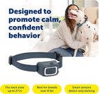 PetSafe Spray Bark Dog Collar, Automatic No Bark Device for Dogs 8 lb. and Up - Rechargeable and Water-Resistant – Includes Citronella and Unscented Spray Refills & USB Charging Cable, Navy